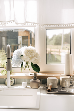 Мята — фото