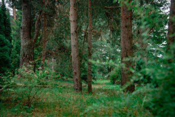 Дом 2х местный. — фото 4