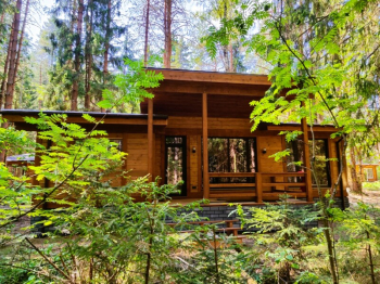 Дом с дровяной баней  — фото 1