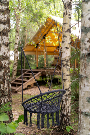 Видомлицы — фото