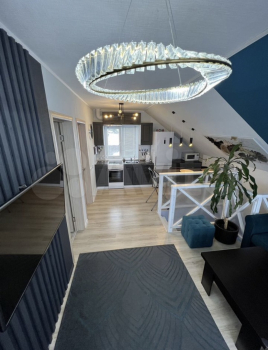 Terra  — фото 7