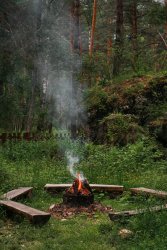 Костровая зона — фото 1