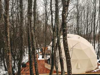 Геокупол люкс "Северное сияние"  — фото 1