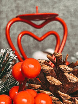 Геокупол премиум "Мечты о Париже"  — фото 11