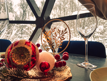 Геокупол сьют "Индия" — фото 10