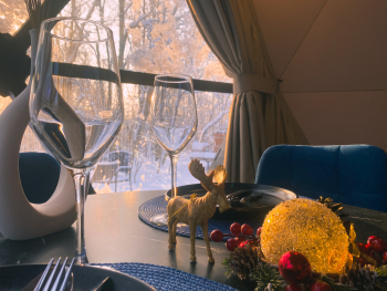 Геокупол сьют "Ниагара" без купели на террасе  — фото 7