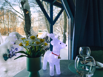 Королевский типи "Звёздное небо"  — фото 11