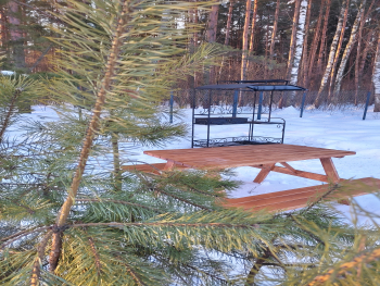 4-ех местный — фото 2