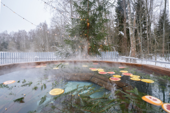Дом на 7 гостей с сауной и чаном — фото 20