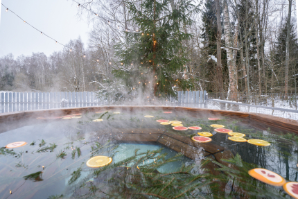 Гостевой дом ( У Леса) — фото