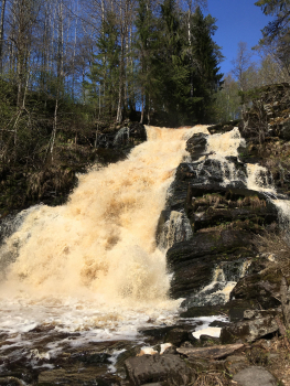 Коттедж-1 Большой — фото 31