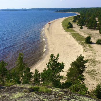 Коттедж-1 Большой — фото 30