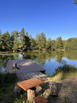 Синий домик — фото 24