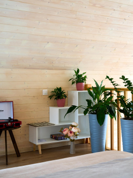 Синий домик — фото 16