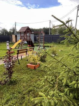 Синий домик — фото 28