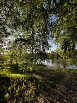 Розовый домик — фото 22