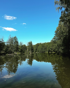 Синий домик — фото 23