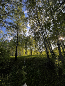 Розовый домик — фото 27