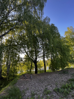 Розовый домик — фото 19