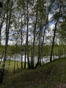 Большой дом с баней  (3 спальни) — фото 31