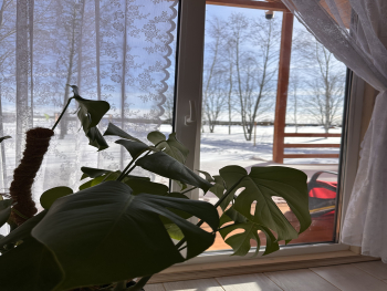 Дом provance — фото 2