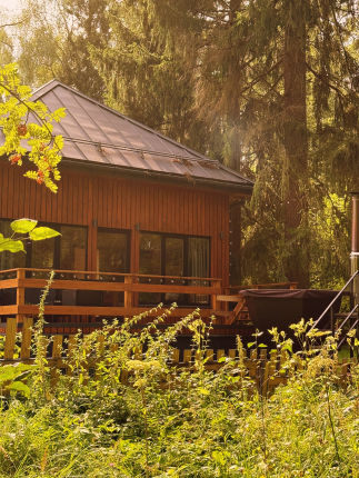 Дом и Елки — фото