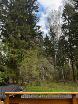 Дом №2 — фото 18