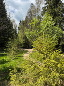 Дом №1 — фото 13