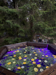 Горячий чан — фото 3