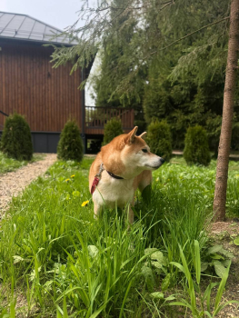 Дом №1 — фото 14
