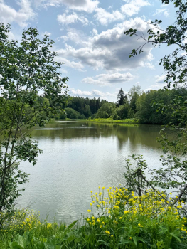 Дом №3 — фото 11