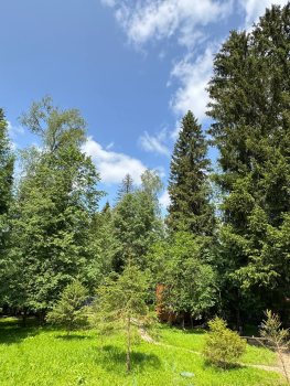 Дом №3 — фото 8