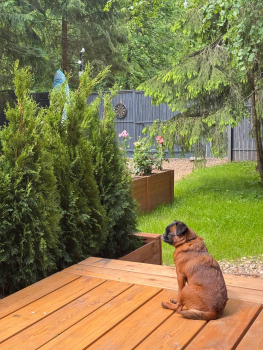 Дом №3 — фото 19