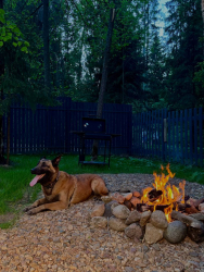 Мангальная зона — фото 9