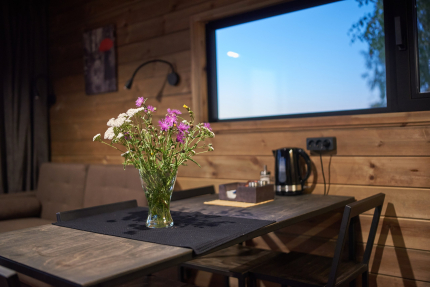 Архангельские дачи (Дом Отрадный простор) — фото