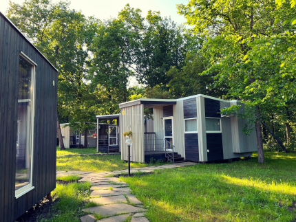 Солнечная поляна — фото