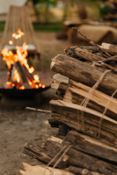 Костровая зона — фото 2