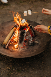 Костровая зона — фото 3