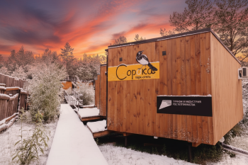 Дом Сорока — фото 1