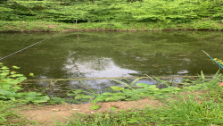 Рыбалка — фото 1