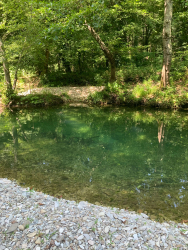 Водоем — фото 1