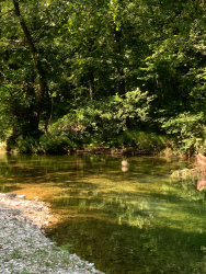 Водоем — фото 7