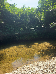 Водоем — фото 6