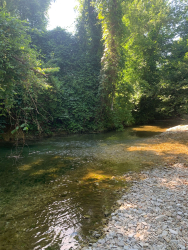 Водоем — фото 4