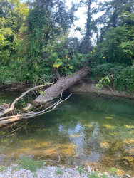 Водоем — фото 5