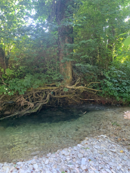 Водоем — фото 8