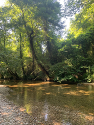 Водоем — фото 2