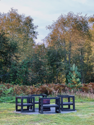 Костровая зона — фото 1