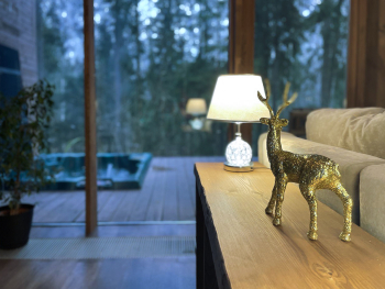 Шале Шадрино — фото 3