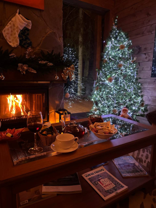 Шале с камином и джакузи в лесу  — фото